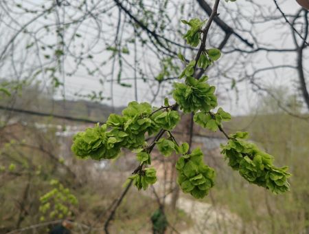 圖片1